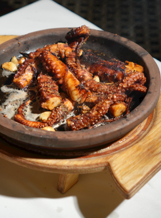 Ahtapot Izgara